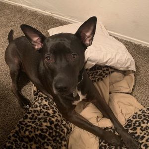 Meet your Posher, Kristina